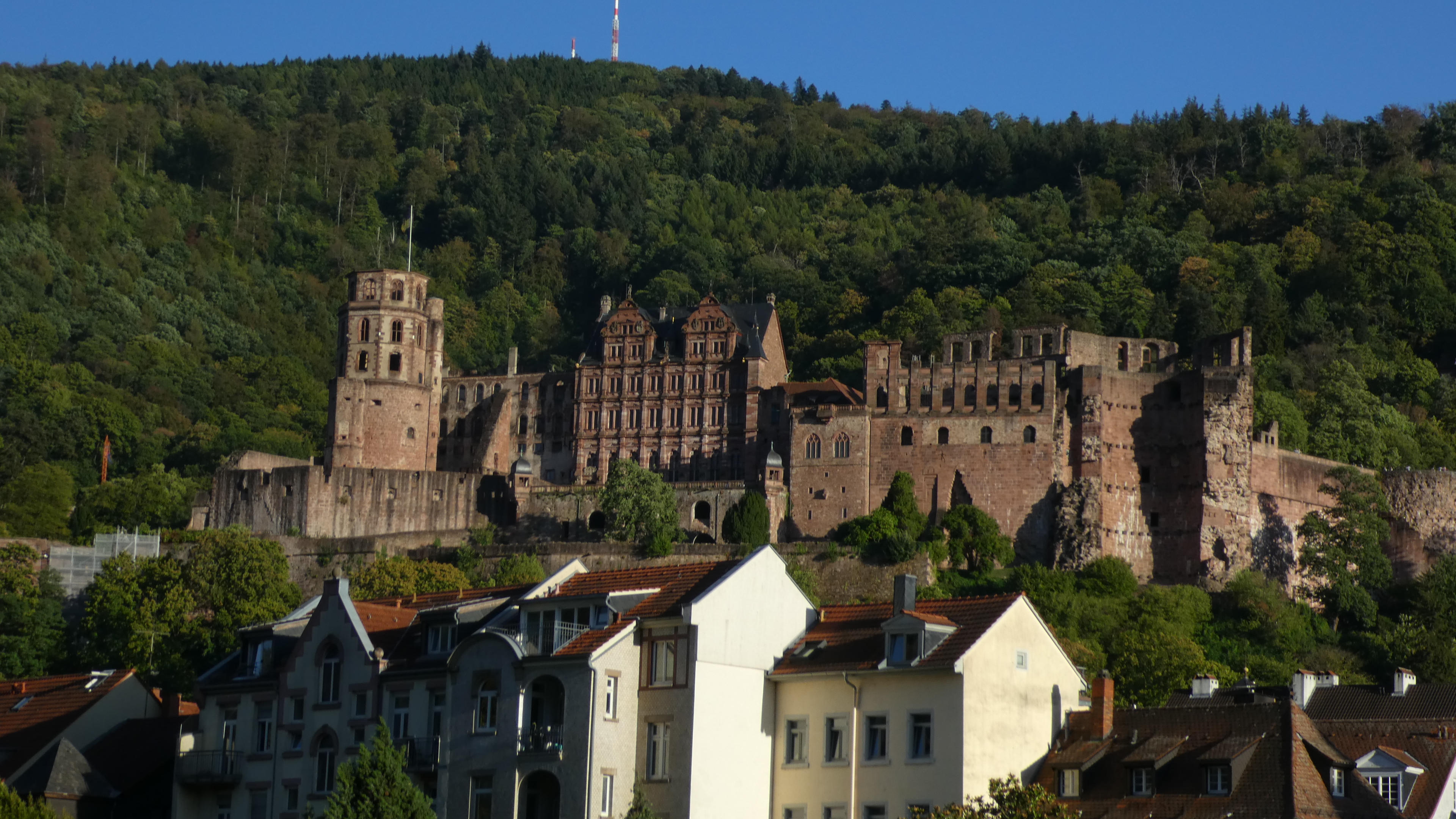 Neckarfahrt 03