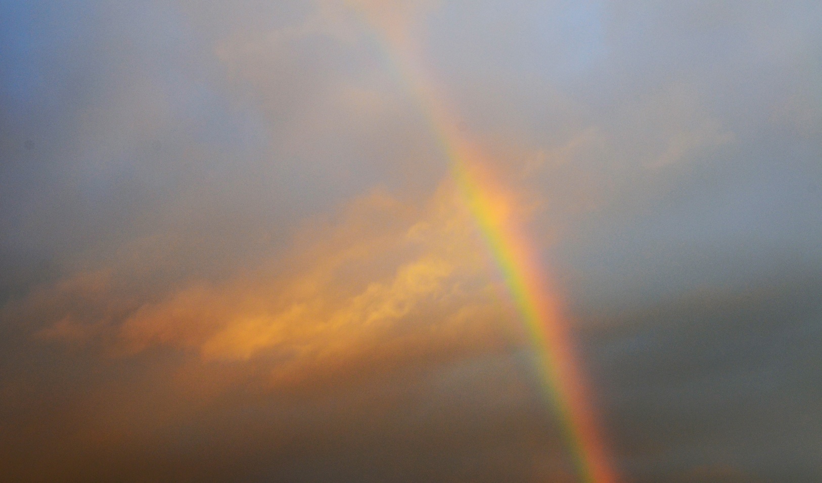 Regenbogen